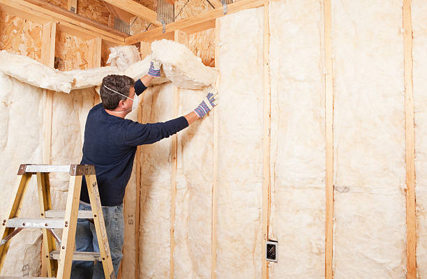 Trusted Mogul, NV Insulation Services Experts